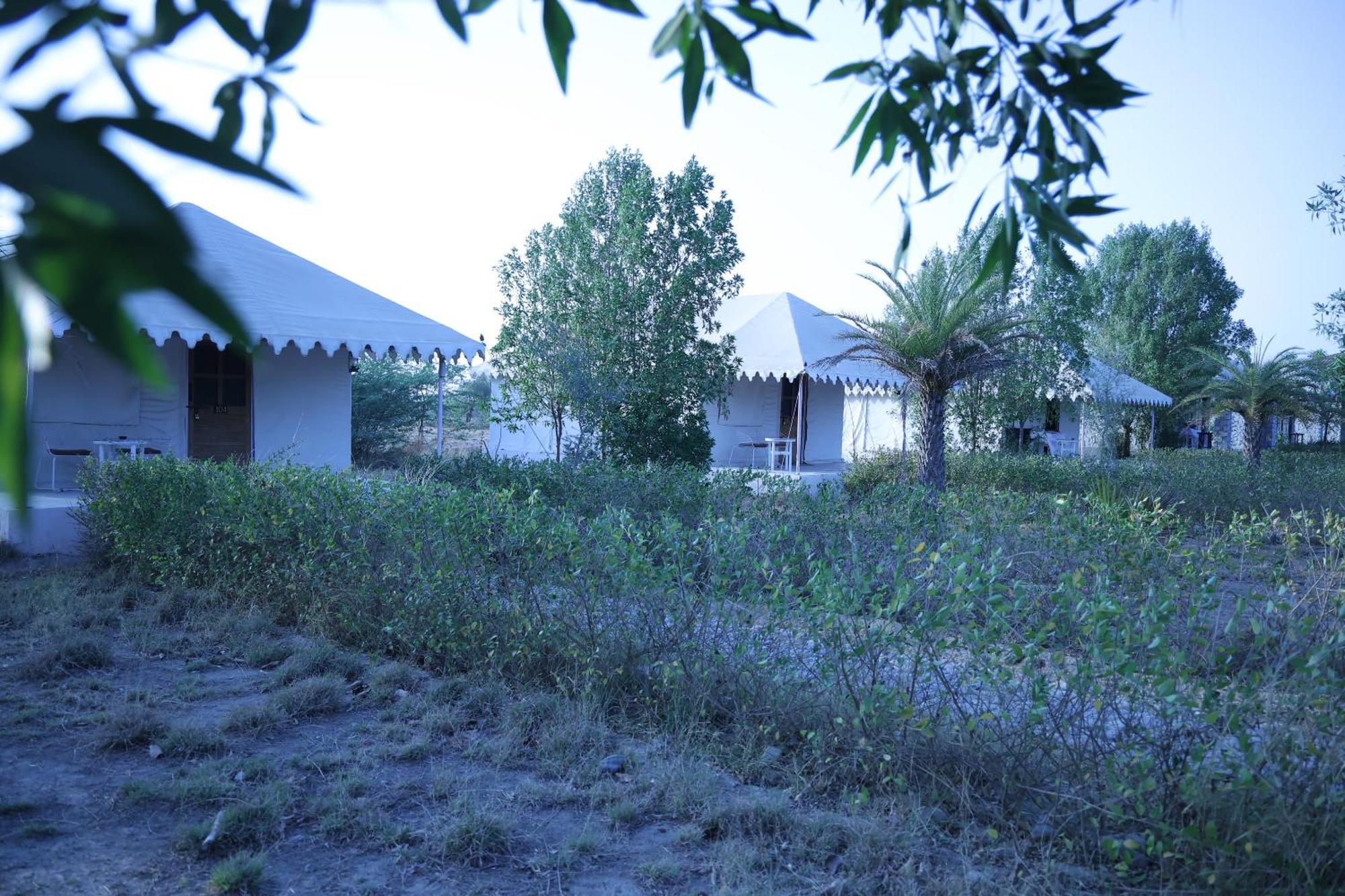 Hotel Jawai Bera Leopard Camp Exterior foto