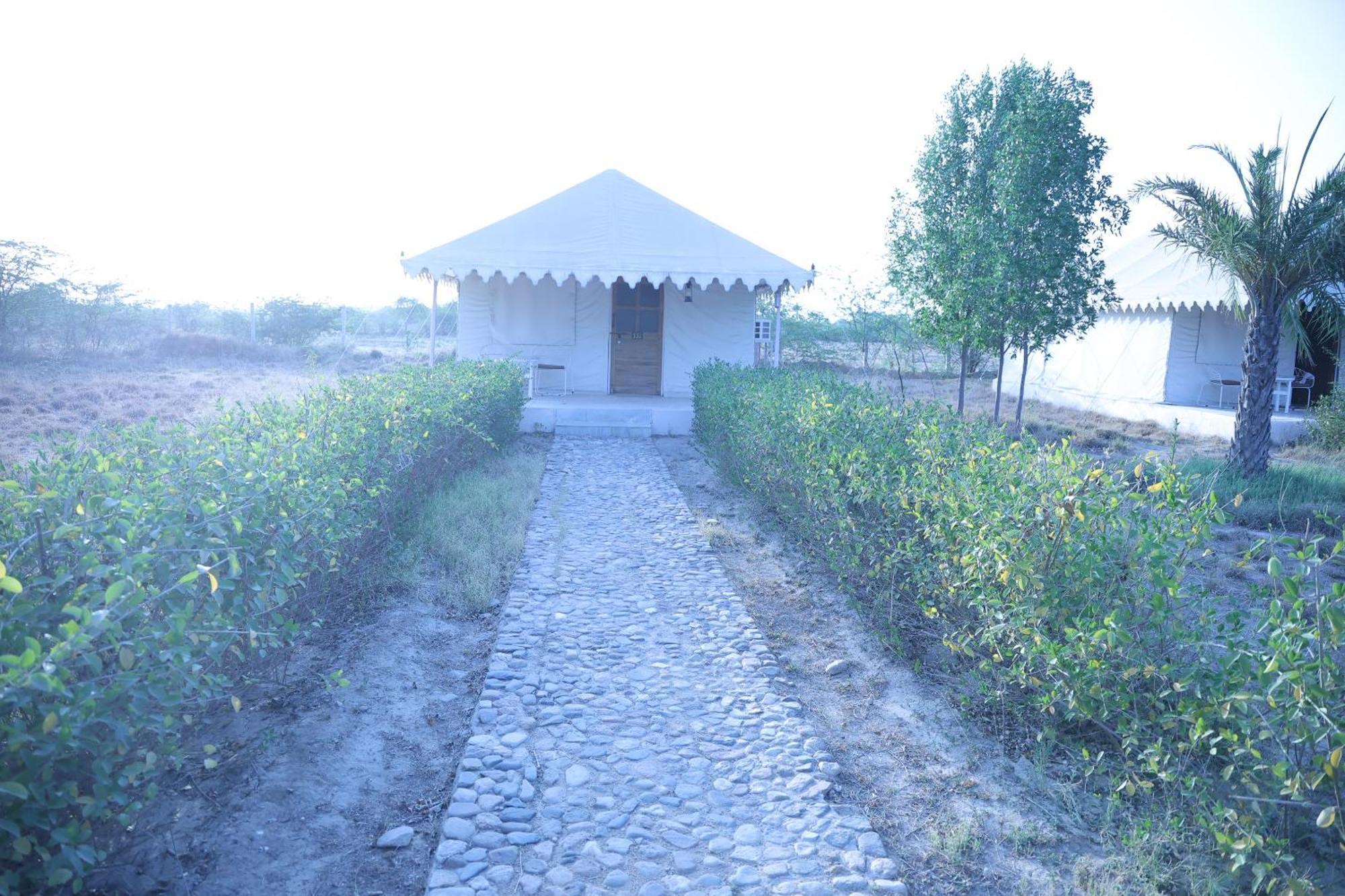 Hotel Jawai Bera Leopard Camp Exterior foto